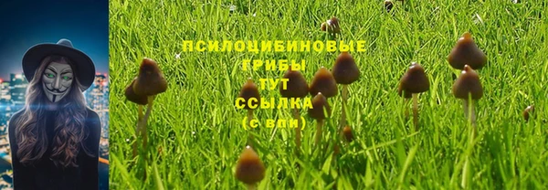 кокаин премиум Заводоуковск