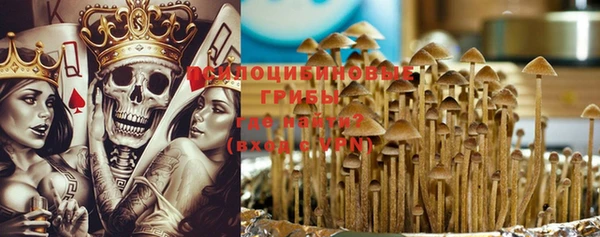 стаф Алексеевка
