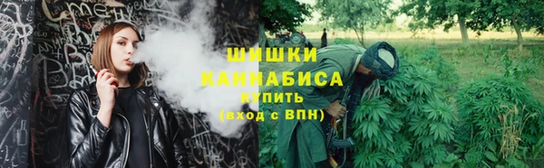 ПСИЛОЦИБИНОВЫЕ ГРИБЫ Абдулино