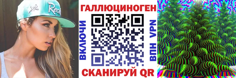 Галлюциногенные грибы Psilocybine cubensis  KRAKEN ONION  Рубцовск 