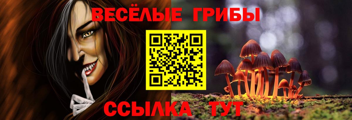 Галлюциногенные грибы GOLDEN TEACHER  Вход с VPN  Рубцовск  Галлюциногенные грибы GOLDEN TEACHER 